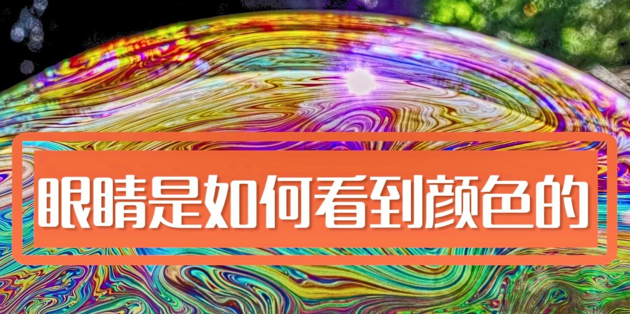 人類是如何看顏色的，影響人眼分辨顏色的因素有哪些?